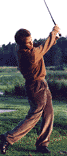 ghwinn280299.gif (5166 bytes)