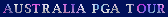 golftau1.gif (1237 bytes)