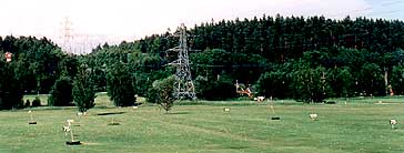 Drivingrange