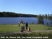 læber pebermynte Sanselig Flens Golfklubb,Bli medlem i Flens GK,golfpaket i Flen,golf och konference  i Flen,golf club membership at Flens golf club in Sweden,konferenspaket,