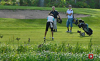 golfspelare