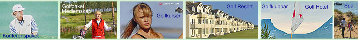auktion Habubu hele Välkommen till golf sweden,golf in Sweden,300 golfpaket i Sverige,400  golfklubbar,spapaket,konferenspaket,gourmetpaket,bröllopspaket,golfresor,golfskolor,  golfklubbs medlemskap,golfkurser,golf hotell,spa hotel,konferens hotell,golf  resort,golf shops ...